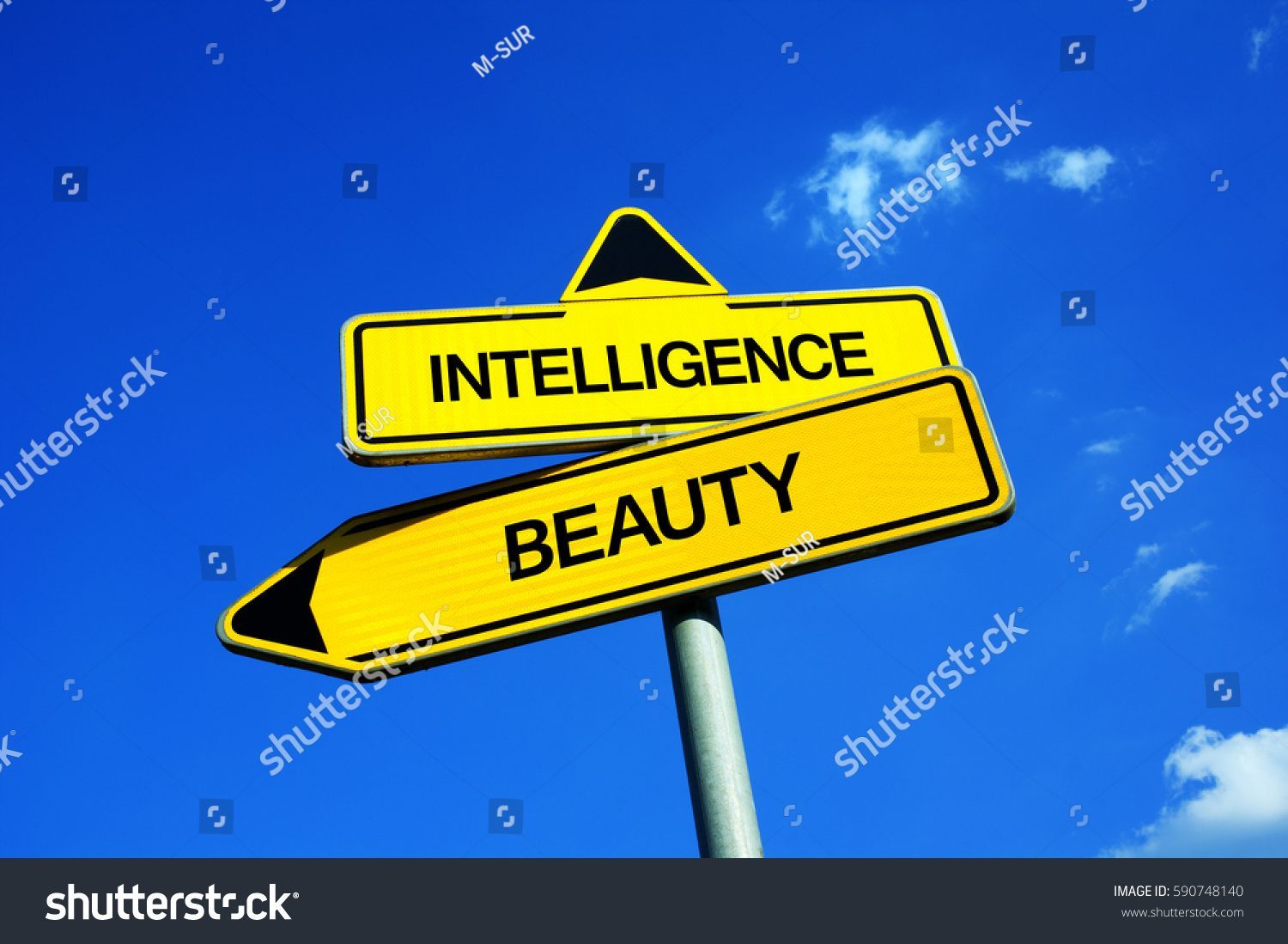 Is beauty more important than intelligence today?
